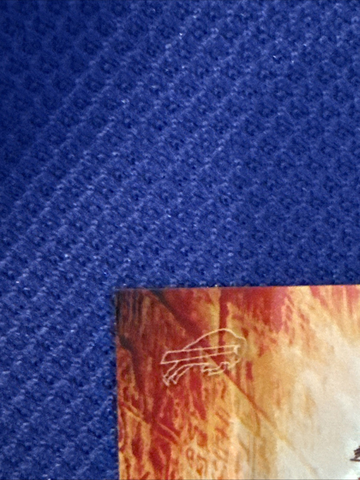 2024 Panini Phoenix Football DORIAN WILLIAMS "Phoenician" SSP! 🔥CASE HIT🔥